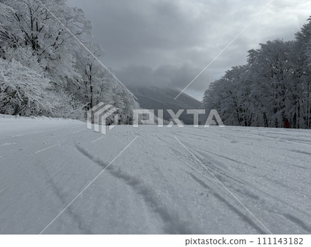 2024年1月福島縣貓駒山南部地區雪面特寫 2024年1月福島縣貓駒山南部地區雪面特寫 111143182