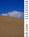 Tottori Sand Dunes scenery/Tottori 111143318