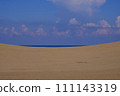 Tottori Sand Dunes scenery/Tottori 111143319