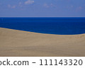 Tottori Sand Dunes scenery/Tottori 111143320