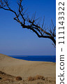 Tottori Sand Dunes scenery/Tottori 111143322
