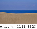 Tottori Sand Dunes scenery/Tottori 111143323