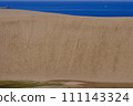 Tottori Sand Dunes scenery/Tottori 111143324