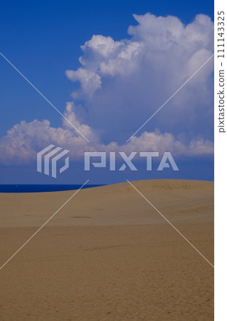 鳥取沙丘風景/鳥取 111143325