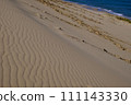 Tottori Sand Dunes scenery/Tottori 111143330