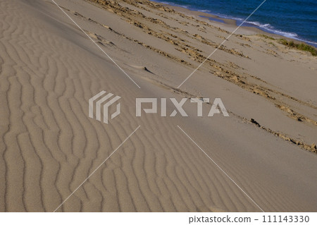 Tottori Sand Dunes scenery/Tottori 111143330