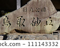 Tottori Sand Dunes/Stone Monument 111143332