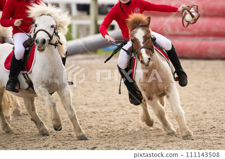 Children on horses playing horseball 111143508
