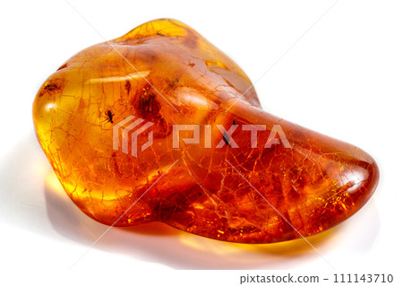 Macro stone mineral amber with insects, flies and beetles on a white background close up Macro stone mineral amber with insects, flies and beetles on a white background close up 111143710