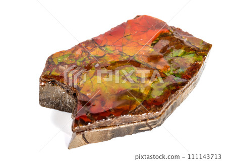 Macro stone Ammolite mineral on white background 111143713