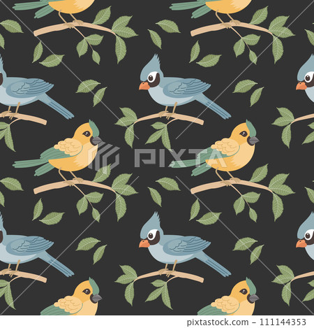 Seamless pattern, cute bright birds on tree branches on a dark background. Spring illustration in flat cartoon style. Vector Seamless pattern, cute bright birds on tree branches on a dark background. Spring illustration in flat cartoon style. Vector 111144353