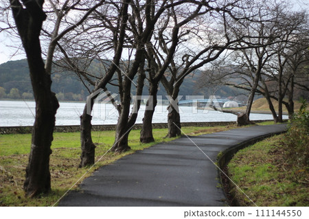 小山池和青島 小山池和青島 111144550