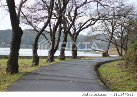 小山池和青島 小山池和青島 111144551