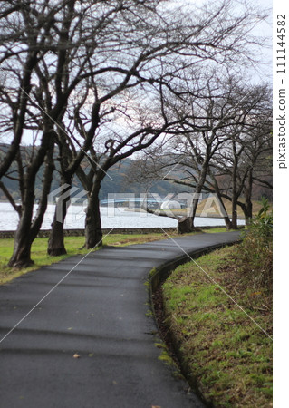 小山池和青島 小山池和青島 111144582