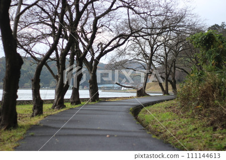 Koyama Pond and Aoshima Koyama Pond and Aoshima 111144613