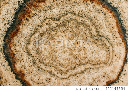 Macro stone mineral Datolite-wollastonite Scarn on a black background 111145264