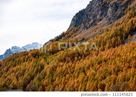 Scenic autumn landscape at lake Silvaplana near St. Moritz 111145825