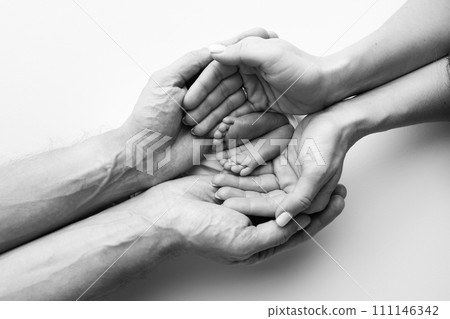 The palms of the father, the mother are holding the foot of the newborn baby. Feet of the newborn on the palms of the parents. Studio macro black and white photo of a child's toes, heels and feet. 111146342