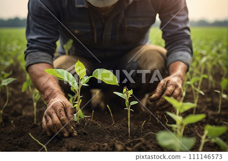 Farmer examining soybean plant in field. Agricultural activity at cultivated land. Man agronomist inspecting the plants.. AI-generated item 111146573