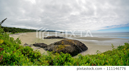 Overview of Pacific ocean long beach near Tofino, British Columbia, Canada 111146776