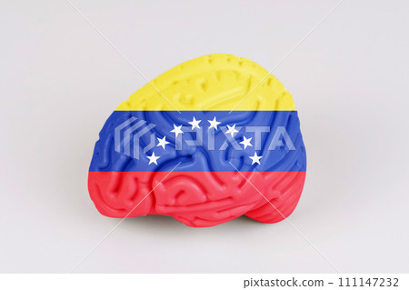 On a white background, a model of the brain with a picture of a flag - Venezuela On a white background, a model of the brain with a picture of a flag - Venezuela 111147232