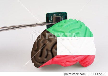 On a white background, a model of the brain with a picture of a flag - Kuwait, a microcircuit, a processor, is implanted into it. 111147233