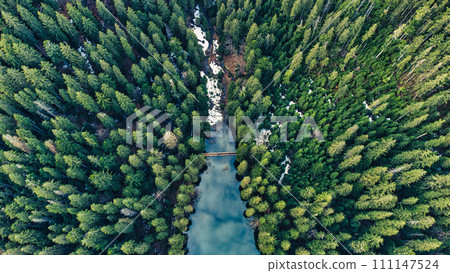 Aerial top view on heart of Ukrainian part of Carpathians Mountains - the lake Synevyr - dragon eye Aerial top view on heart of Ukrainian part of Carpathians Mountains - the lake Synevyr - dragon eye 111147524