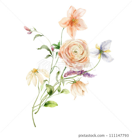 Watercolor bouquet of ranunculus, daisy, anemone and leaves. Hand painted floral card isolated on white background. Holiday flowers Illustration for design, print, fabric or background. Watercolor bouquet of ranunculus, daisy, anemone and leaves. Hand painted floral card isolated on white background. Holiday flowers Illustration for design, print, fabric or background. 111147793