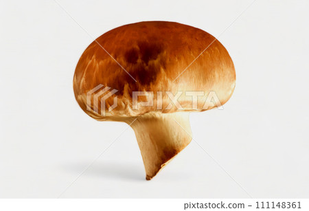 One whole brown fresh white champignon mushroom isolated on a white background. Side view. A type of edible mushroom of the champignon genus 111148361
