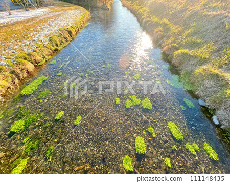 Brook in early spring Brook in early spring 111148435