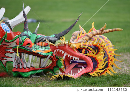 Heads of the Dragon kites 111148580
