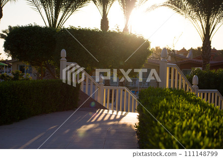 Walking road with hedges in an exotic park with palm trees on a sunny day leading to the stairs 111148799