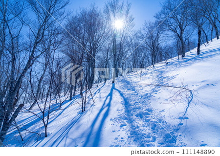 [雪山素材]冬天從琴見山看的風景[長野縣] 111148890