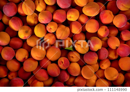 Top down view, large group of apricots, with one small green leaf in middle, view from above 111148990