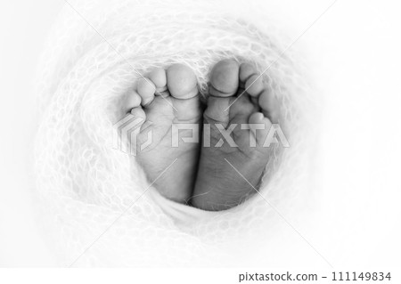 Soft feet of a newborn in a woolen blanket Close-up of toes, heels and feet baby Soft feet of a newborn in a woolen blanket Close-up of toes, heels and feet baby 111149834