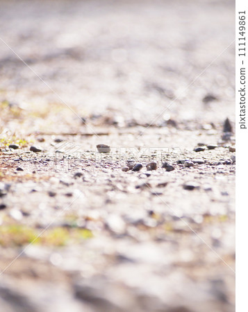 walk on an unpaved gravel road 111149861