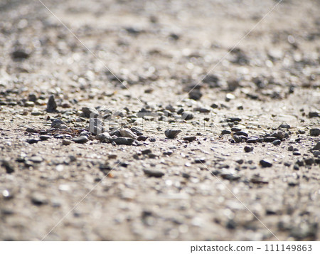 walk on an unpaved gravel road 111149863