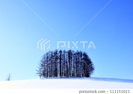 Simple scenery of Biei Town, Hokkaido in winter Simple scenery of Biei Town, Hokkaido in winter 111151021