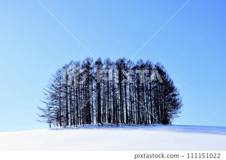 Simple scenery of Biei Town, Hokkaido in winter 111151022