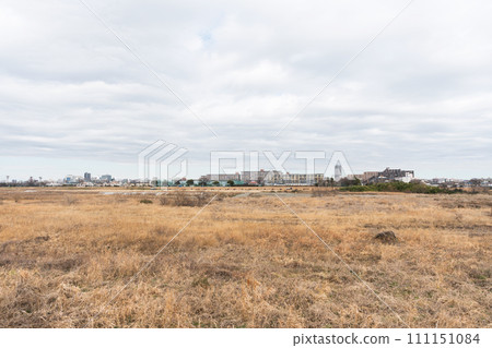神奈川縣川崎市，JR南部線調佈方向，多摩河床，中野島站前，春天的腳步 111151084