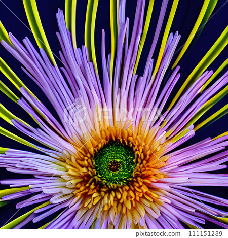 a close up of a purple and yellow flower. Generative AI. 111151289