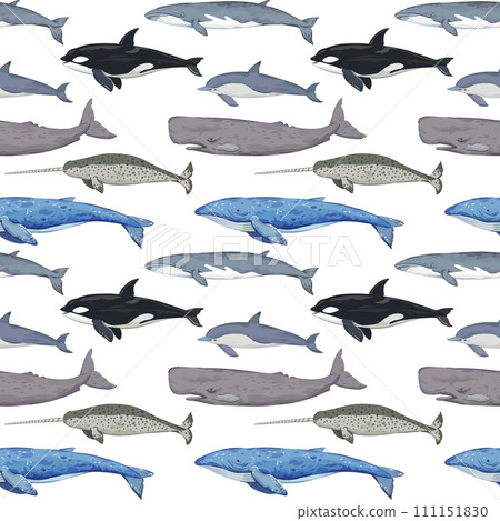 Seamless pattern with various whales. Hand-drawn detailed print. Vector illustration for design. 111151830