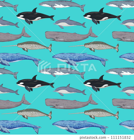Seamless pattern with various whales. Hand-drawn detailed print. Vector illustration for design. 111151832