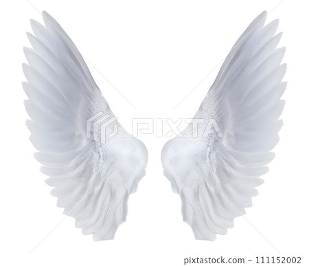 white angel wings isolated on white background. Generative AI white angel wings isolated on white background. Generative AI 111152002