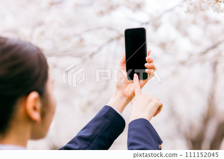 國中生、高中生、女高中生、女高中生用智慧型手機拍攝櫻花 111152045