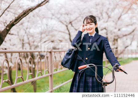 Junior high school students, high school students, female high school students, and high school girls (commuting to and leaving school) riding bicycles along the cherry blossom trees in spring. 111152446