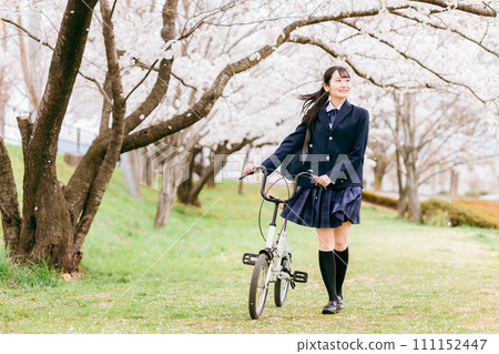 Junior high school students, high school students, female high school students, and high school girls (commuting to and leaving school) riding bicycles along the cherry blossom trees in spring. 111152447