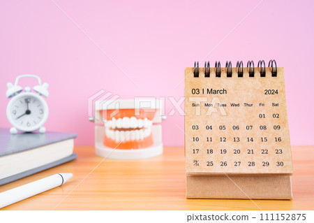 March monthly desk calendar for 2024 year and model dentures on the table with alarm clock. March monthly desk calendar for 2024 year and model dentures on the table with alarm clock. 111152875