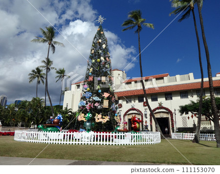 Christmas Tree in front of Honolulu Hale Christmas Tree in front of Honolulu Hale 111153070
