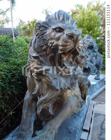 black natural stone Roaring lions on Display 111153114